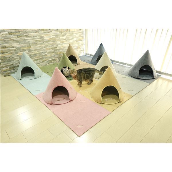 ラグタスコーン