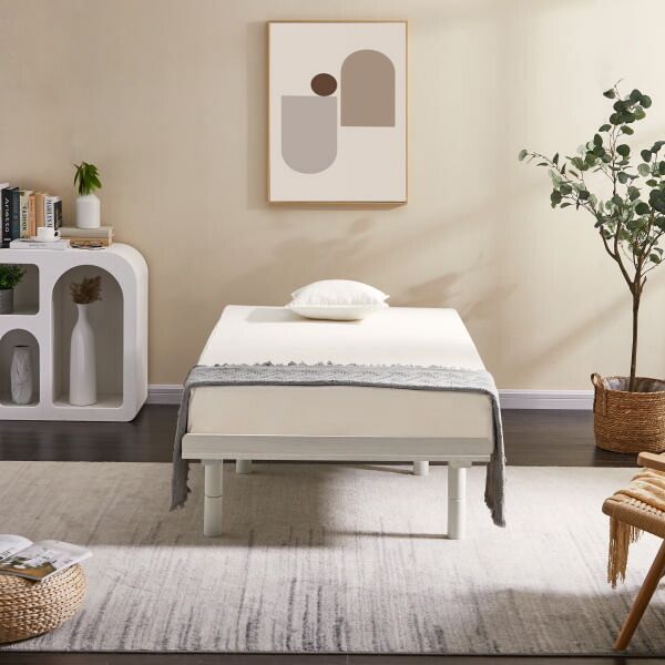 ブラウン ホワイトウォッシュ