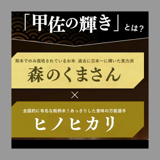 新米 令和7年産『甲佐の輝き』精米10kg（5kg袋×2袋） 2025.11精米