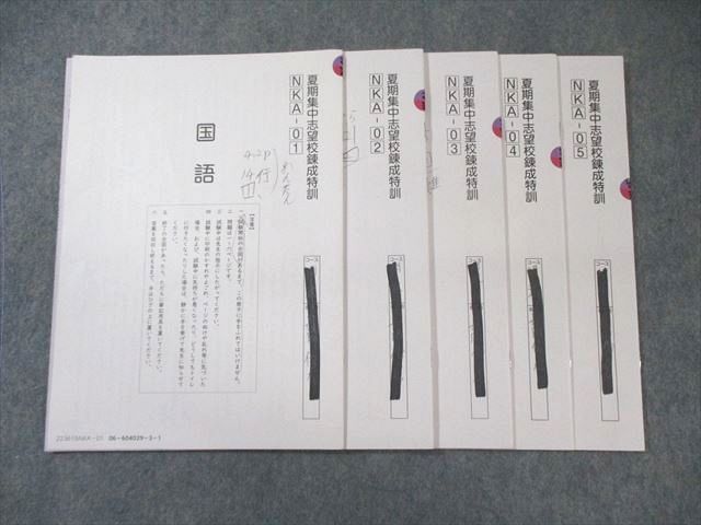 SAPIX 小6 サピックス 開成コース 夏期集中志望校錬成特訓(NKAｰ