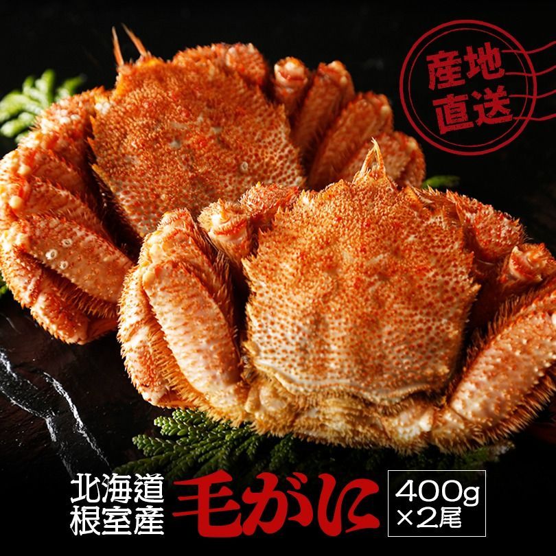 【根室直送】マルナカイチ杉山水産 毛蟹800g