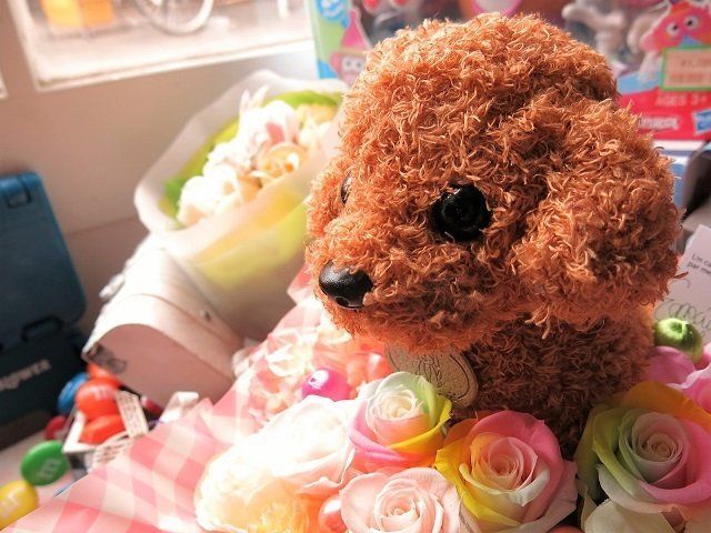 レインボーローズ プリザーブドフラワー入り