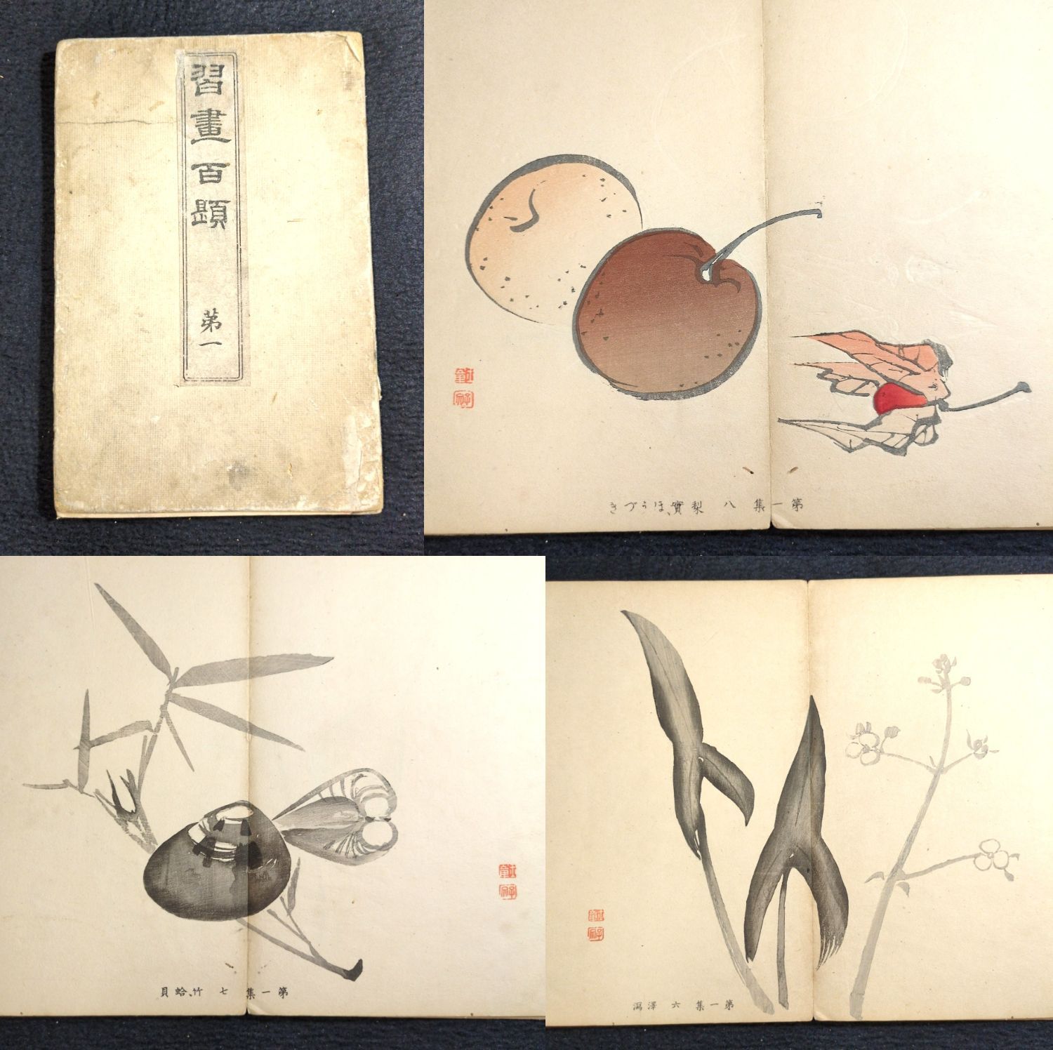 彩色 木版画 絵入 絵本◇習画百題◇12図 画譜 絵手本 川端玉章 明治