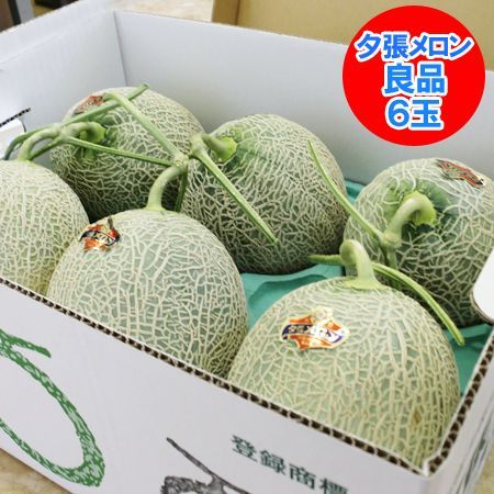 夕張メロン 送料無料 夕張メロン 8kg6玉入 1箱(1ケース) 北海道 夕張 メロン 良品 夕張メロン 夕張農協共撰 メロン ゆうばりめろん 送料無料 果物 フルーツ くだもの メロン