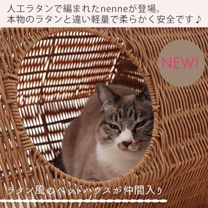 夏