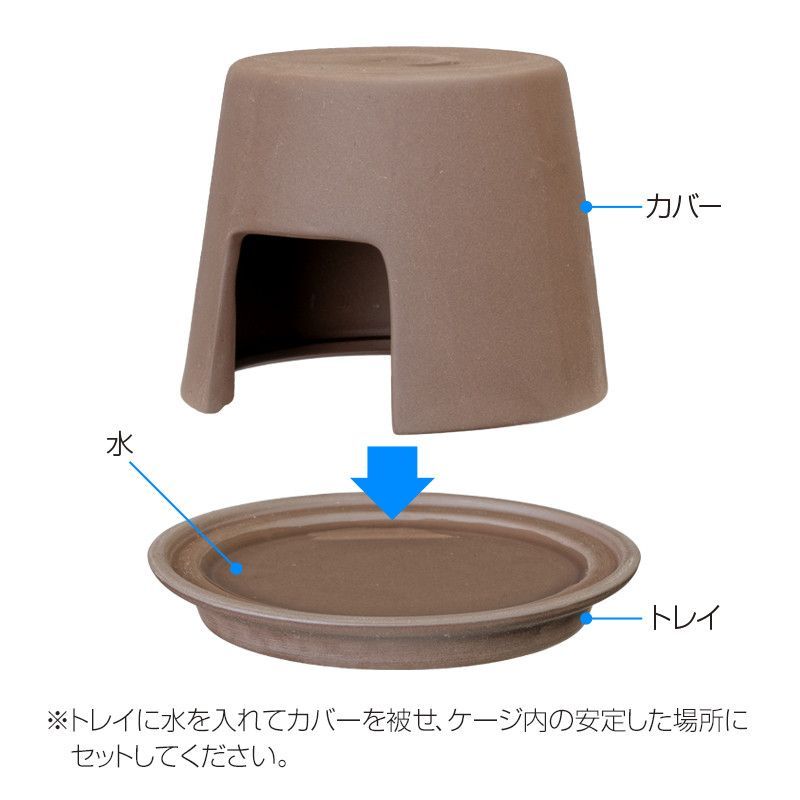 カエル ヤドクガエル