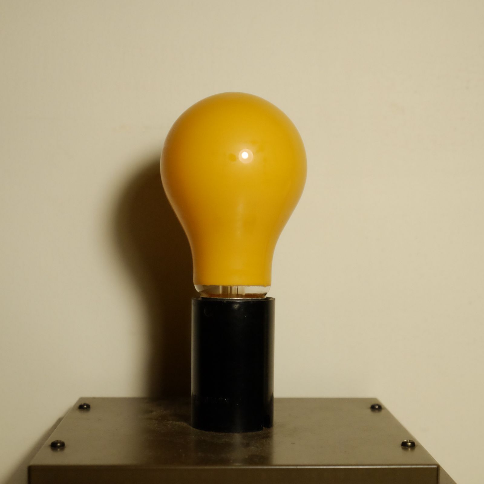 Toshiba 東芝 あかりじょうず 低誘虫電球 60w 昭和レトロ 白熱電球