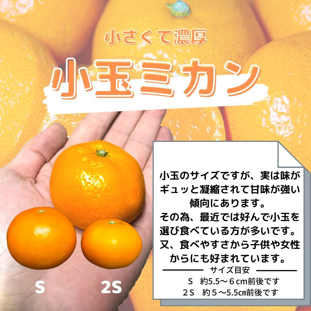現在 予約順次発送中