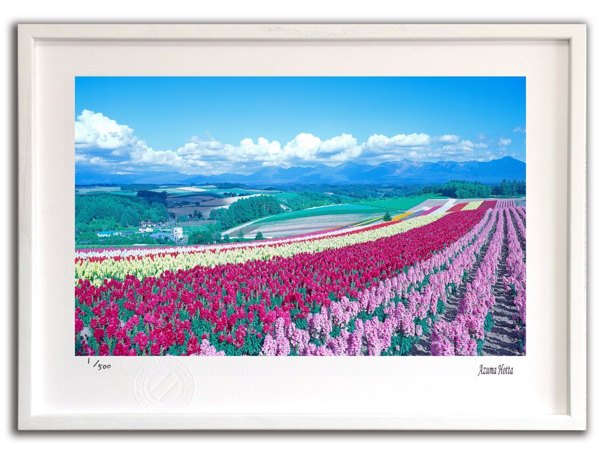 Disney スティッチ ジグソーパズル 950ピース 「ビッグウェーブ