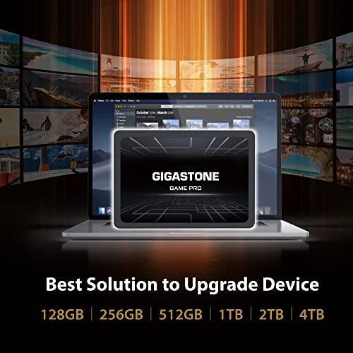 Gigastone 内蔵SSD 2TB 2パック Game Pro 2.5インチ 3D NAND採用 7mm