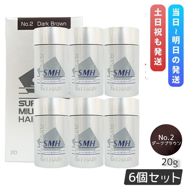 ルアン スーパーミリオンヘアー 20g No.2 ダークブラウン 6個セット 髪 頭 薄毛隠し 分け目 つむじ ボリューム 男性 女性 白髪かくし