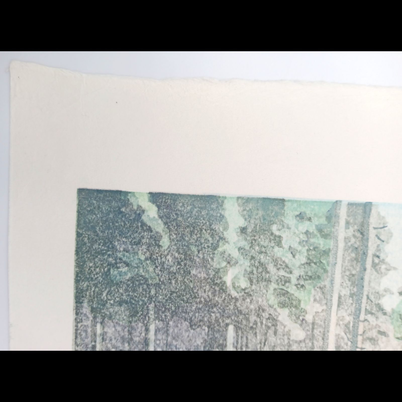 【真作】木版画　壬生川純一「木の花」限定ナンバー付き！ 新品】木版画 壬生川純一「倒木の森」限定ナンバー付き！ ☆送料