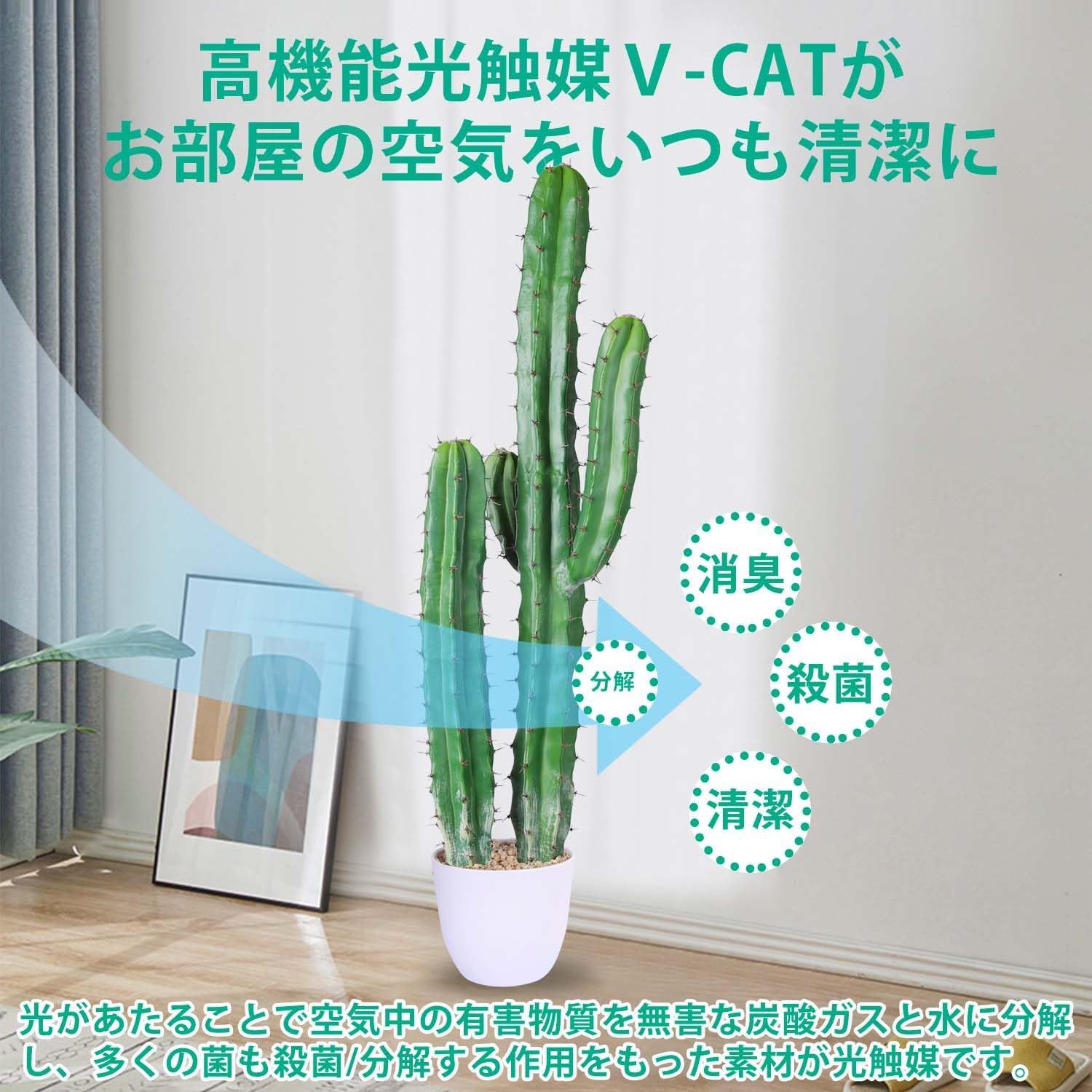 光触媒