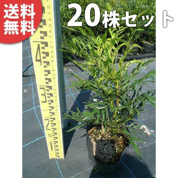 超人気！【高さ140cm】ロフトベッド 耐荷重150kg 一人暮らしWhite 超人気！【高さ140cm】ロフトベッド 耐荷重150kg 一人暮らしWhite
