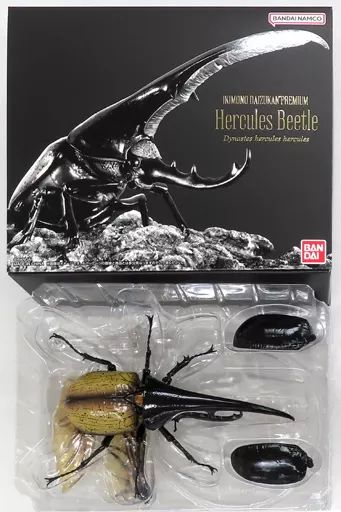 沖縄昆虫野外観察図鑑 全7巻セット(東 清二【編著】;堀 繁久;金城 政勝