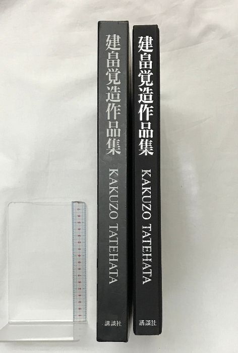 建畠覚造作品集 図録】建畠覚造作品集 KAKUZO TATEHATA 講談社 著:建畠覚造 1992