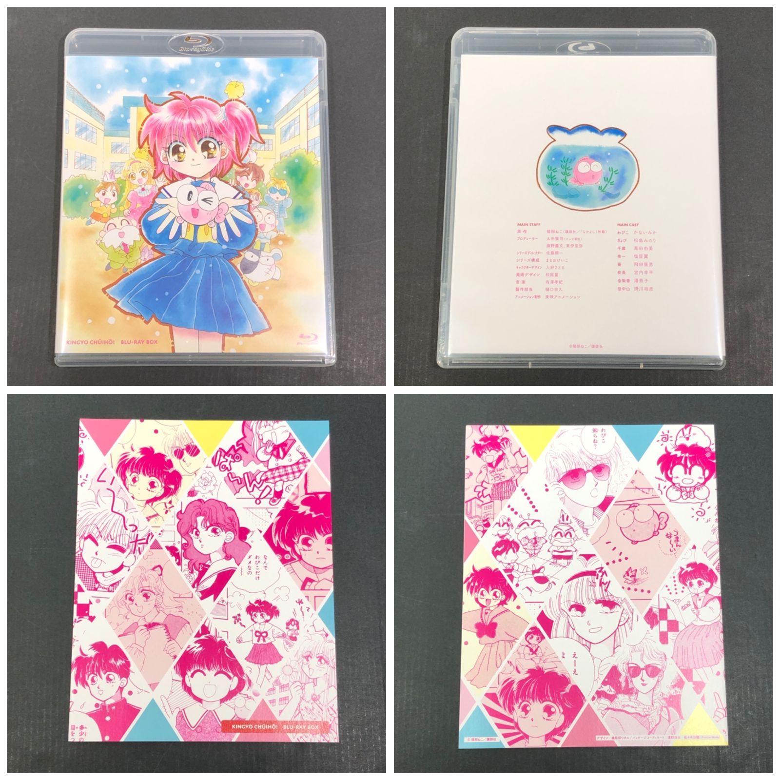 城東17-031】きんぎょ注意報！ Blu-ray BOX 帯付き - メルカリ
