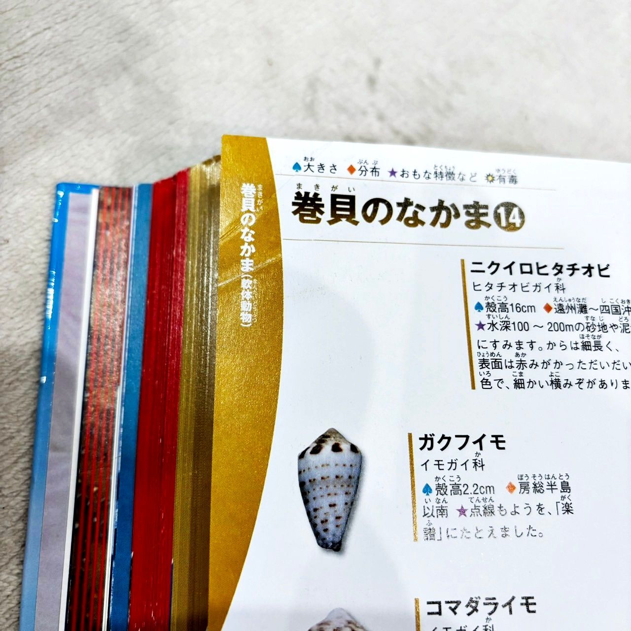 学研の図鑑 ライブ LIVE８冊セット＆NEO１冊ＤＶＤ付き 学研の図鑑LIVE 8冊セット DVD付き 図鑑まとめて - メルカリ