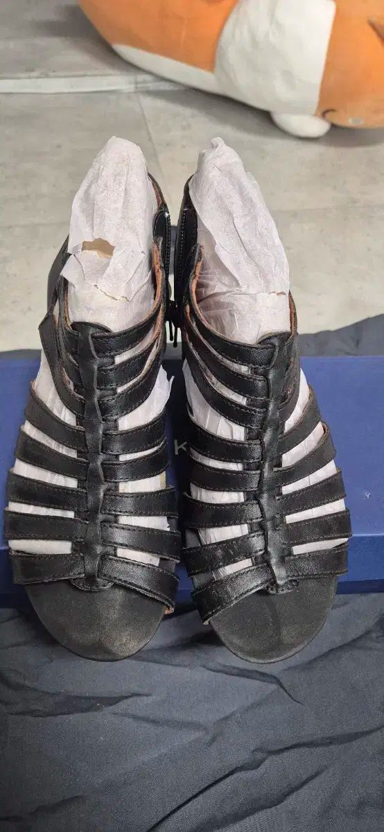 【限定Sale】即納！ロックポートシューズ 上履き