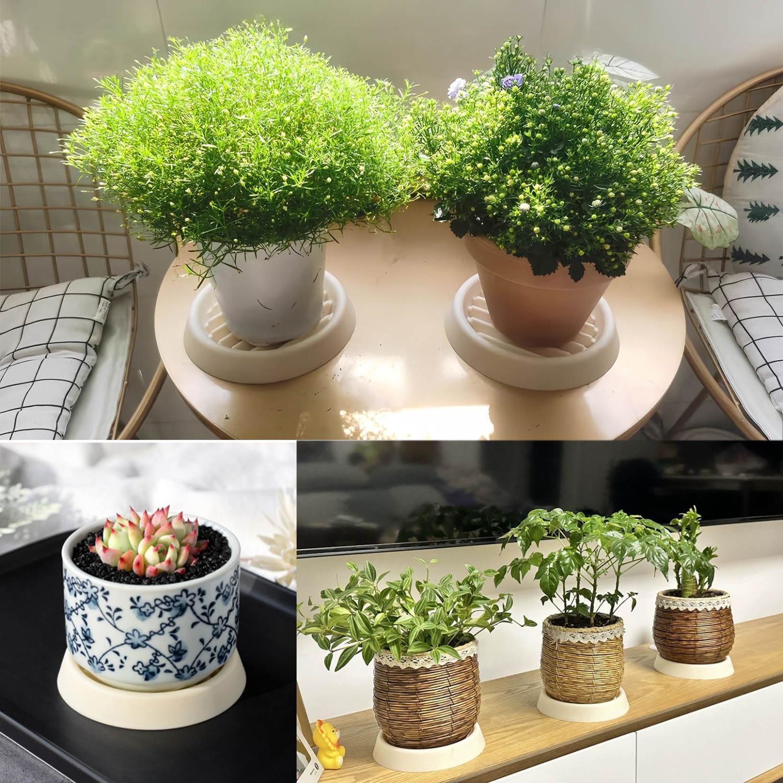 植木鉢、植物容器 課せ 多肉植物の鉢の庭の彫像屋外の植木鉢、植木鉢