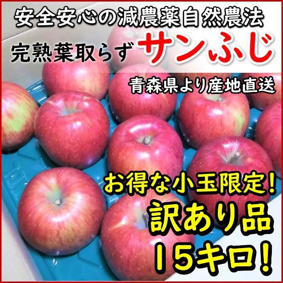 な小玉 品15キロ 生食用 青森のサンふじ 安心安全の減農薬青森産葉取らず完熟りんご 残留農薬検出なし 赤ちゃんやお年寄りまで皮ごとでも安心して食べられます 鮮度抜群 完熟たべごろです 傷ものなどの 品で小さい玉だけ C級品