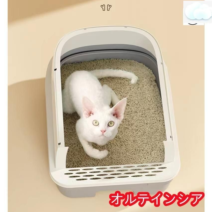 大きめ 本体