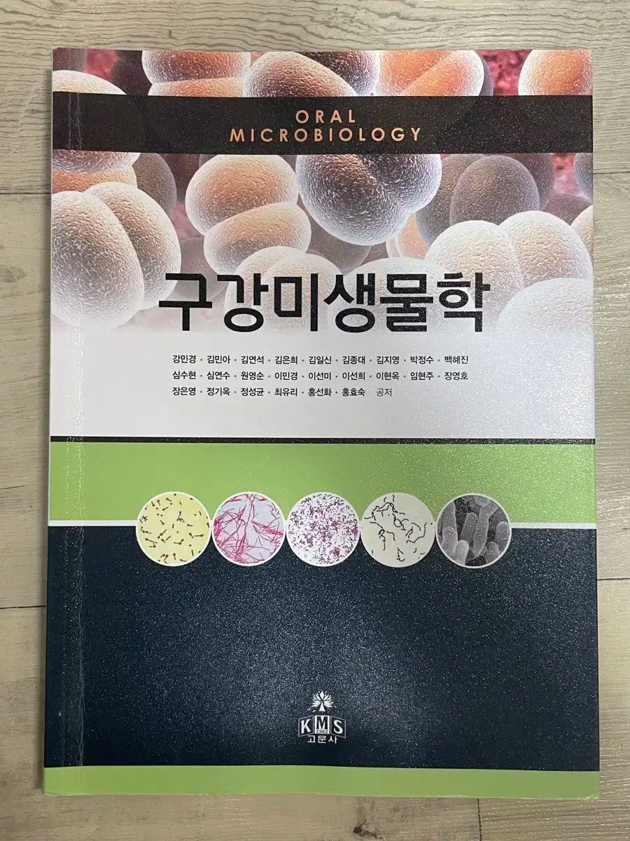 最新】口腔微生物学・免疫学 第5版 口腔微生物学・免疫学 第5