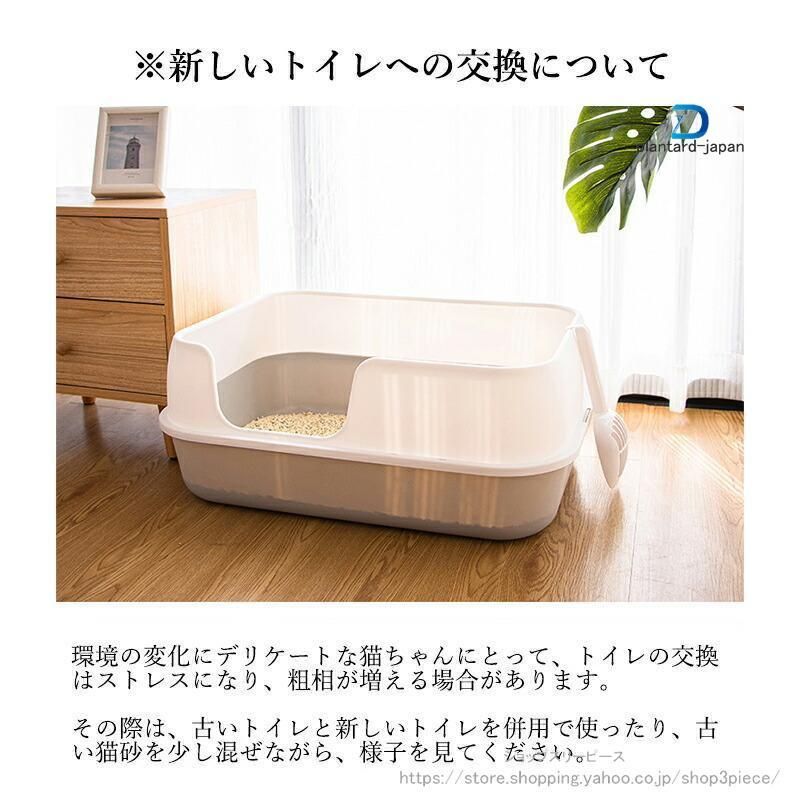 大型 猫