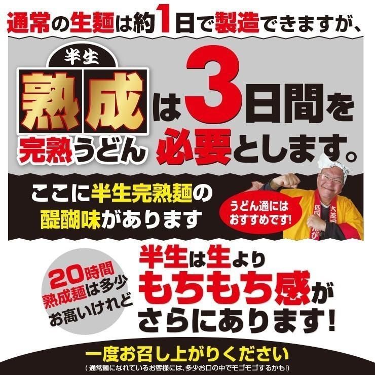 20時間熟成 半生 並麺 讃岐うどん つゆ付きセット 便利な個包装 750g 送料無料　A36