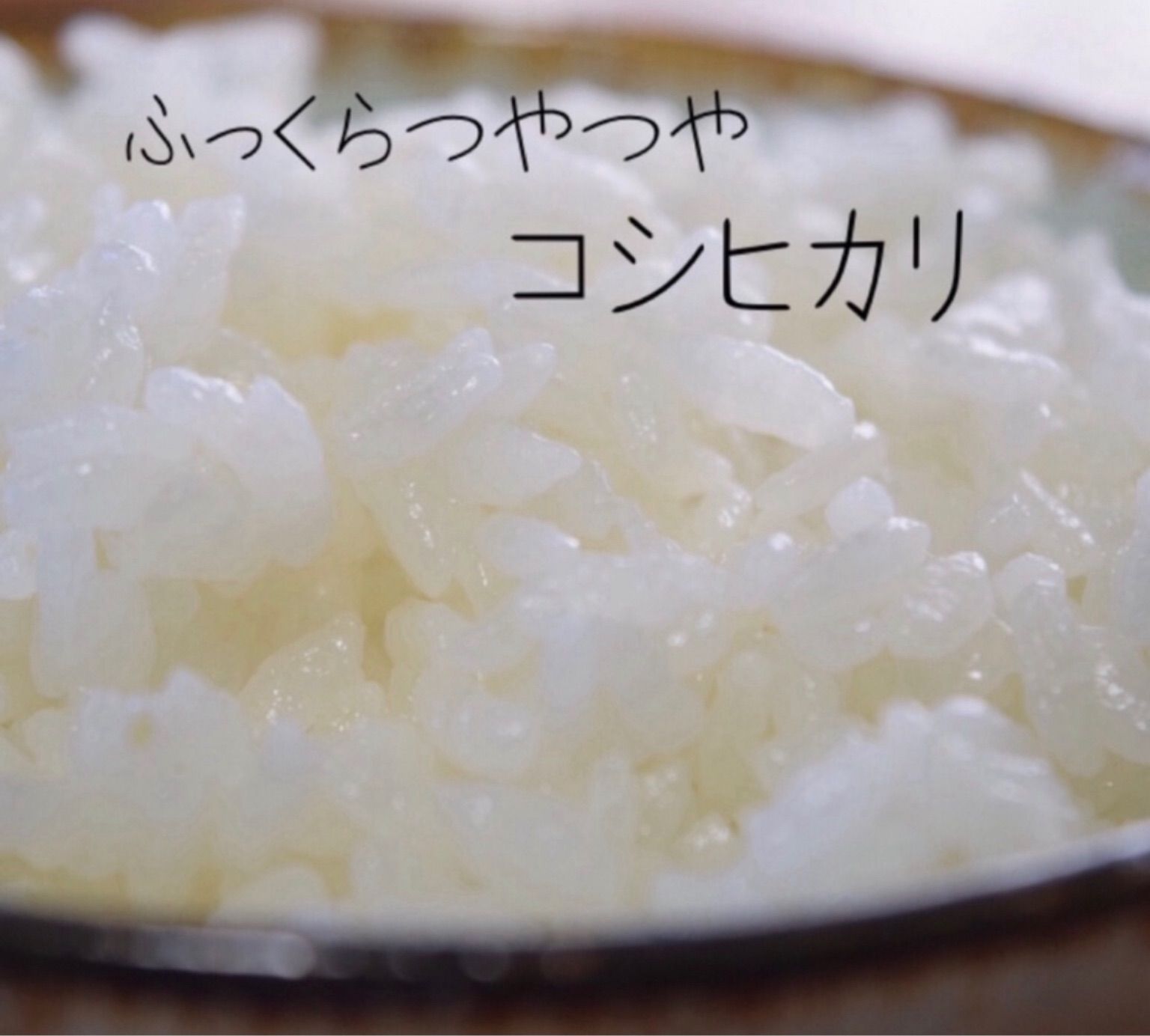 新米】栃木県産コシヒカリ・ゆうだい21 食べ比べ6kg - メルカリ