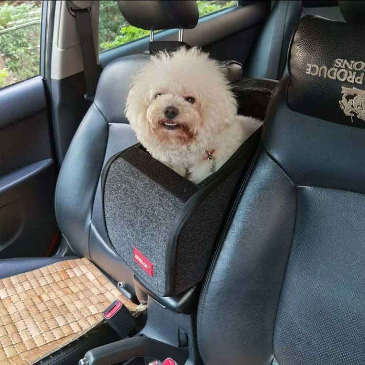 ドライブベッド 犬ベッド