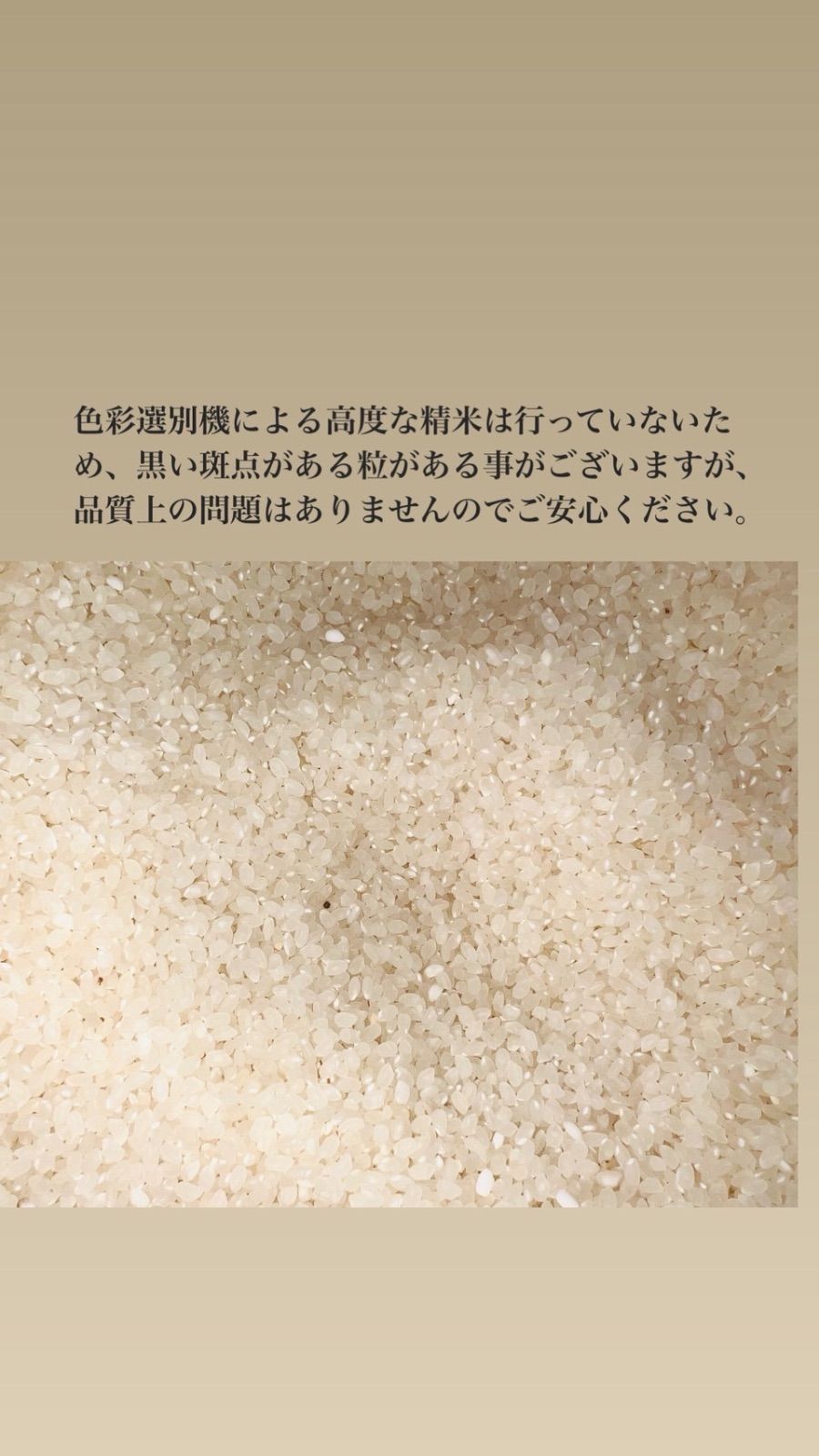 スペシャルな 10 3より順次発送 R7年 新米 福島県産 ひとめぼれ 10kg