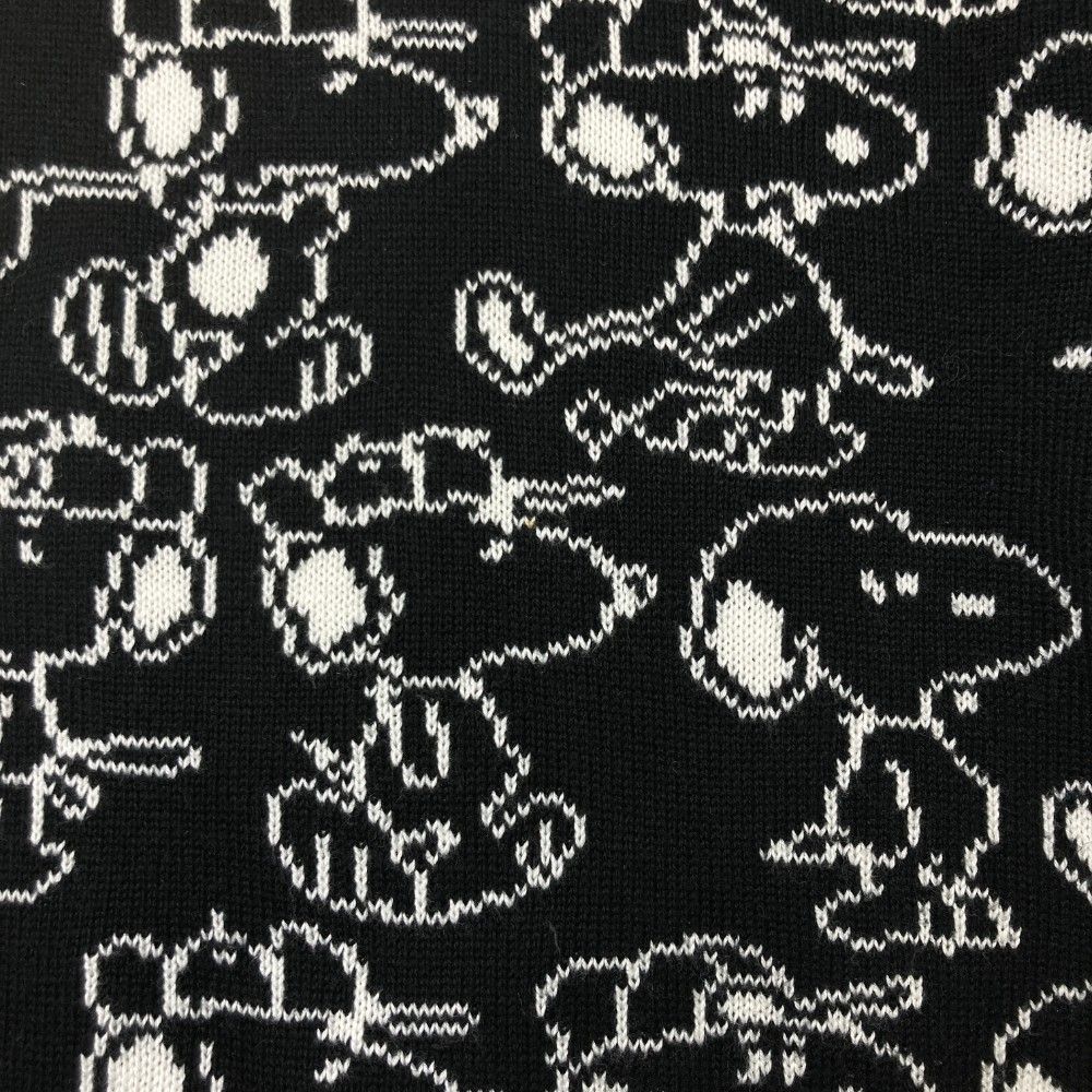 ASOUND アサウンド オリジナル レコード 完全生産限定盤 新品未使用 未