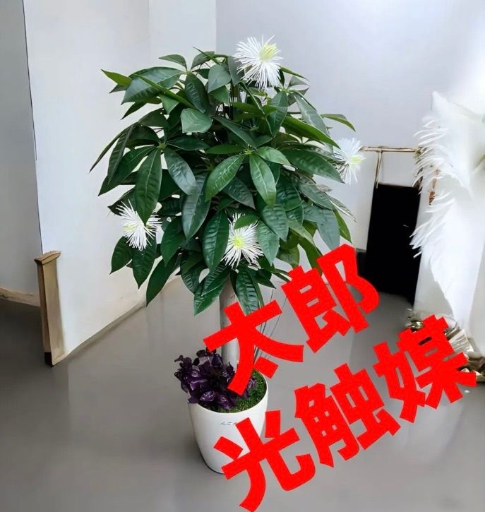 光触媒 人工観葉植物 ウォールグリーン フェイクグリーン 2024 光触媒