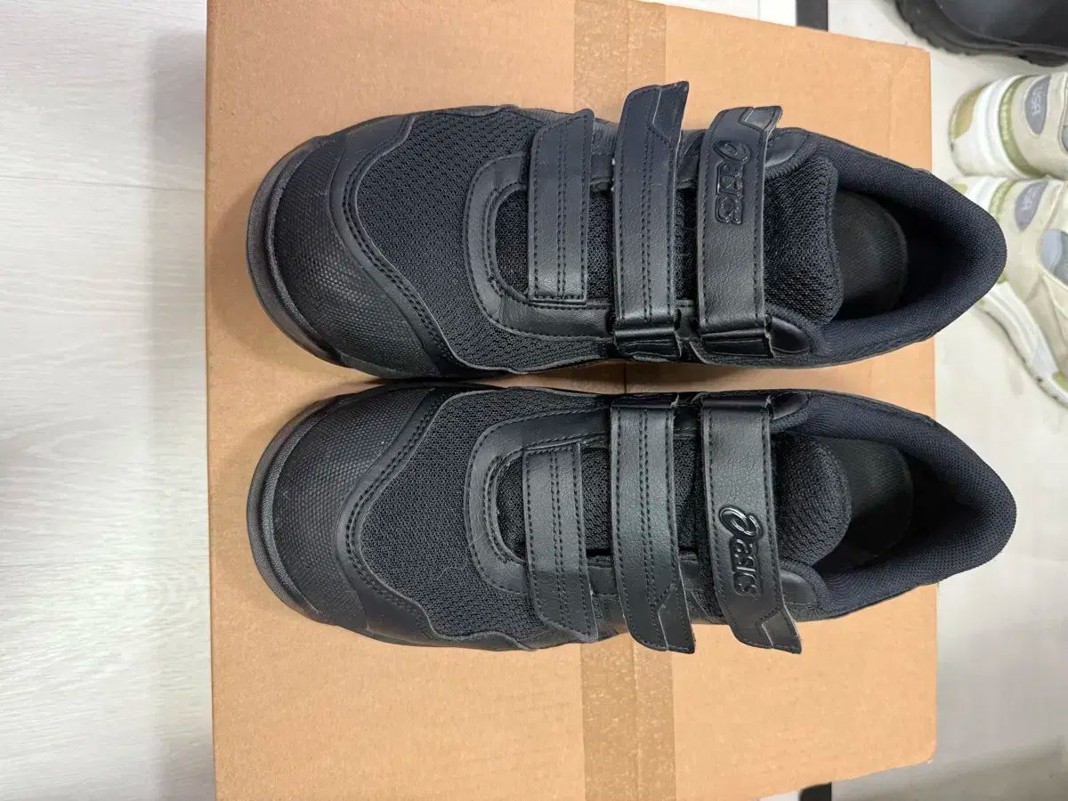 Asics アシックス ウィンジョブ CP215 270
