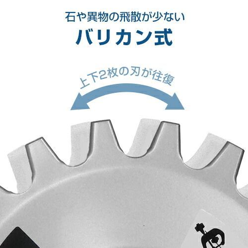 五十川昇乗 静物画 赤絵の器に果物の画 五十川頼石に