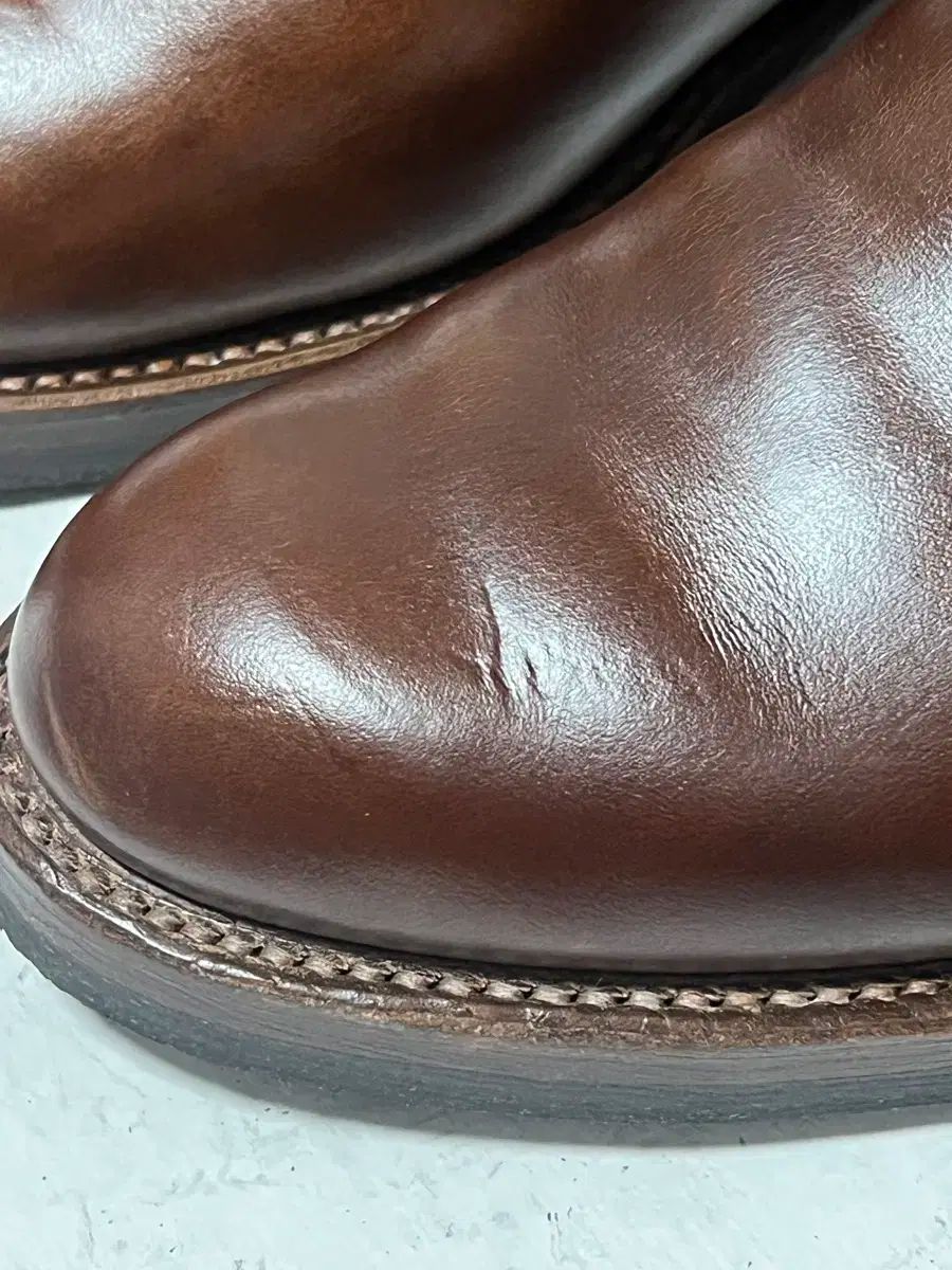 ザウルス ソルティーブラウニー 18cm 65-EY1021-03C ザウルス