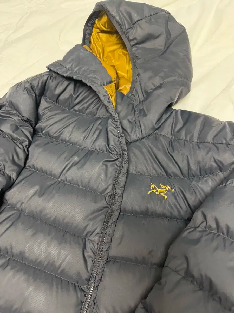 ARC'TERYX(アークテリクス) トリウム 24k xl