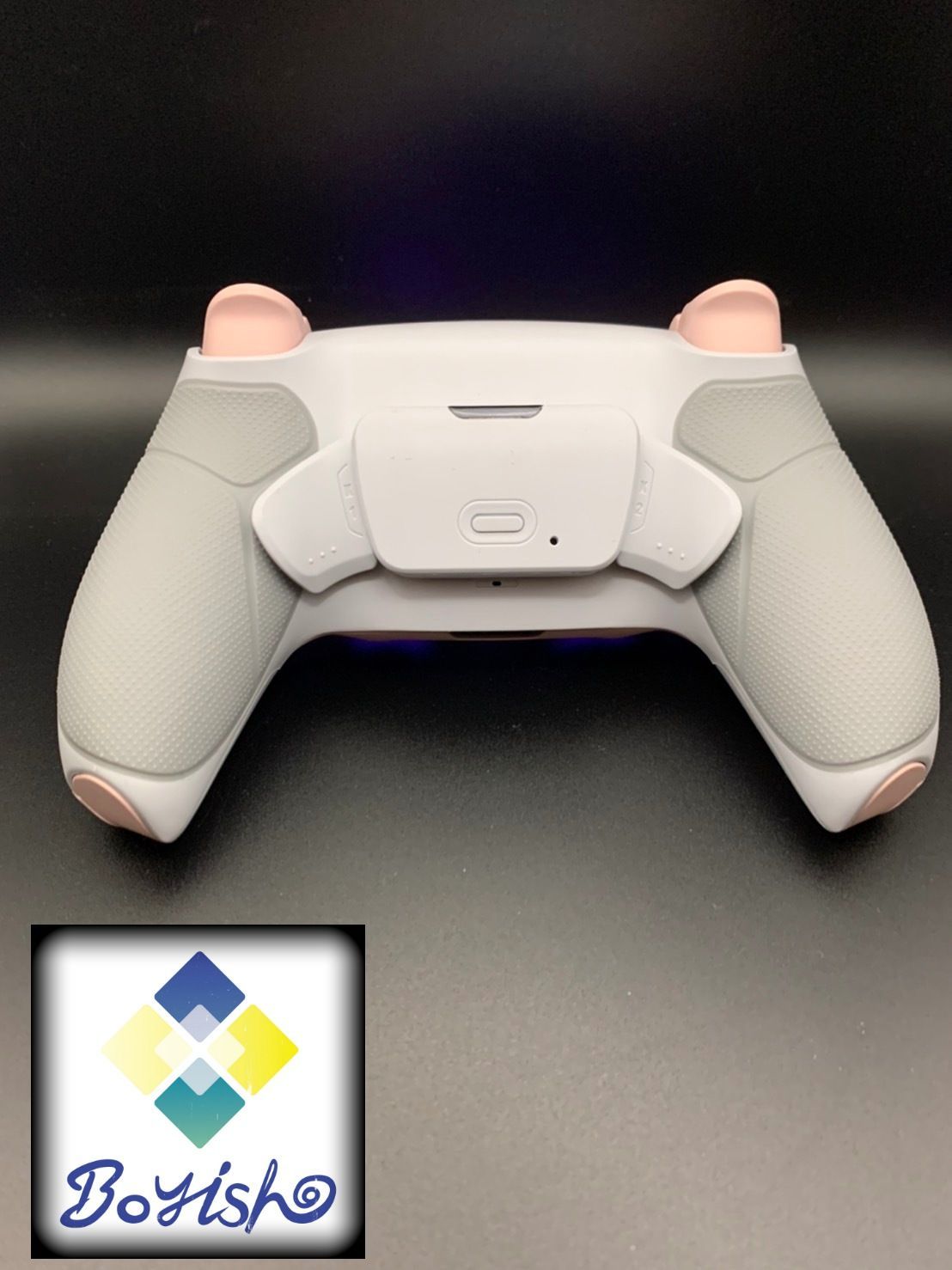 PS5カスタムコントローラー 背面パッド付き オープン記念限定6か
