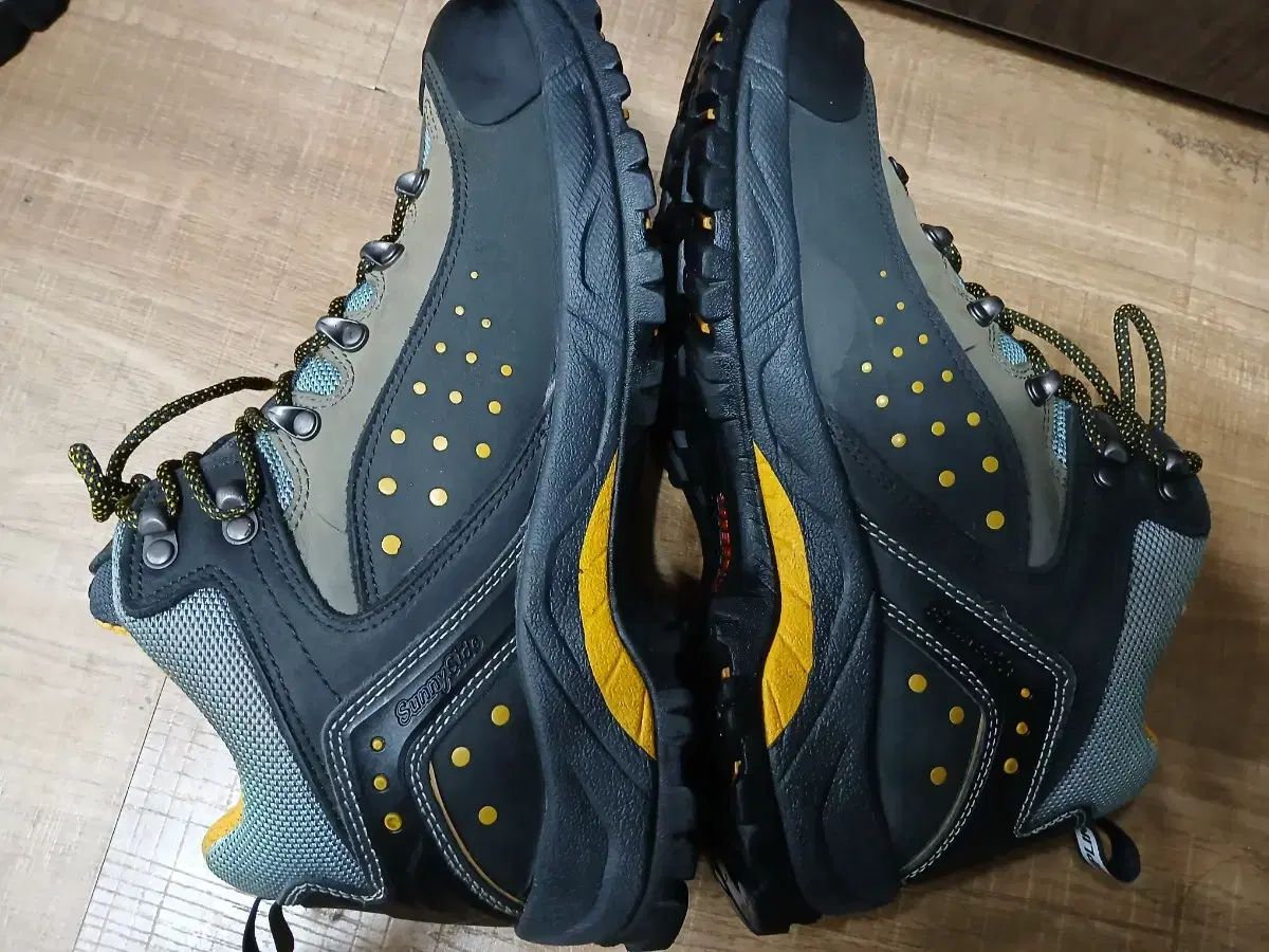 キャンプライン