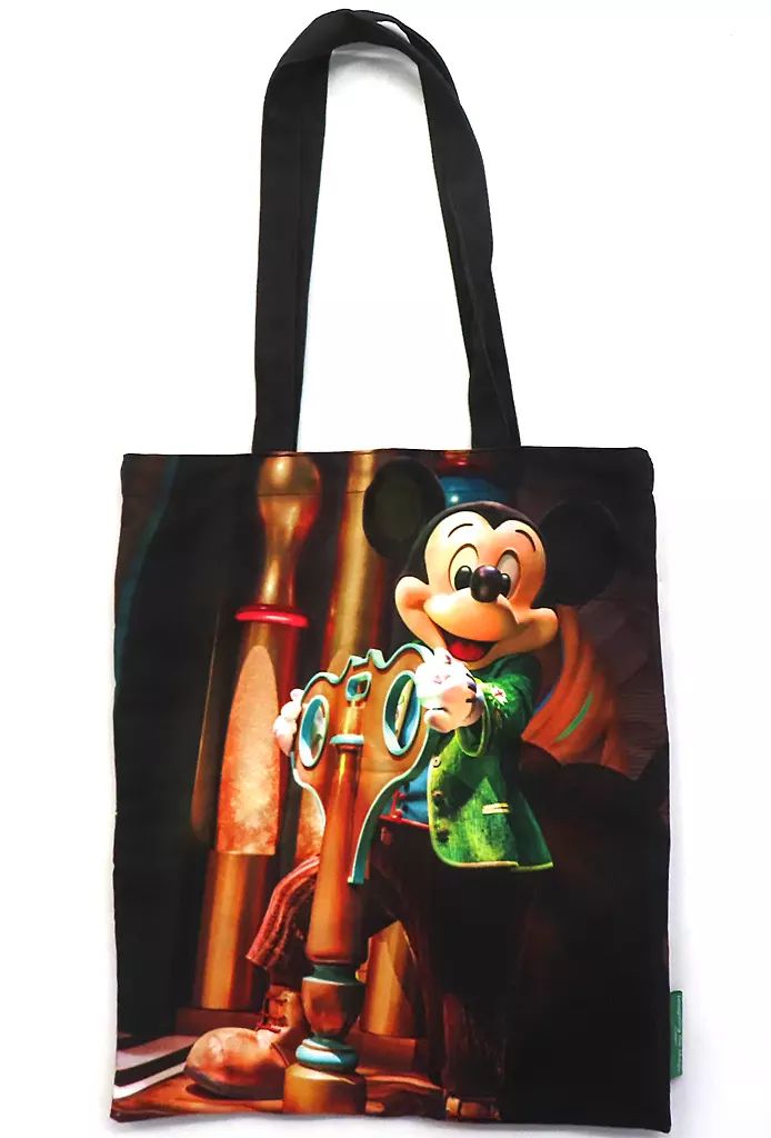 ディズニーイマジニングマジック トートバッグ カメラバッグ ディズニーリゾート イマジニングザマジック カメラバッグ