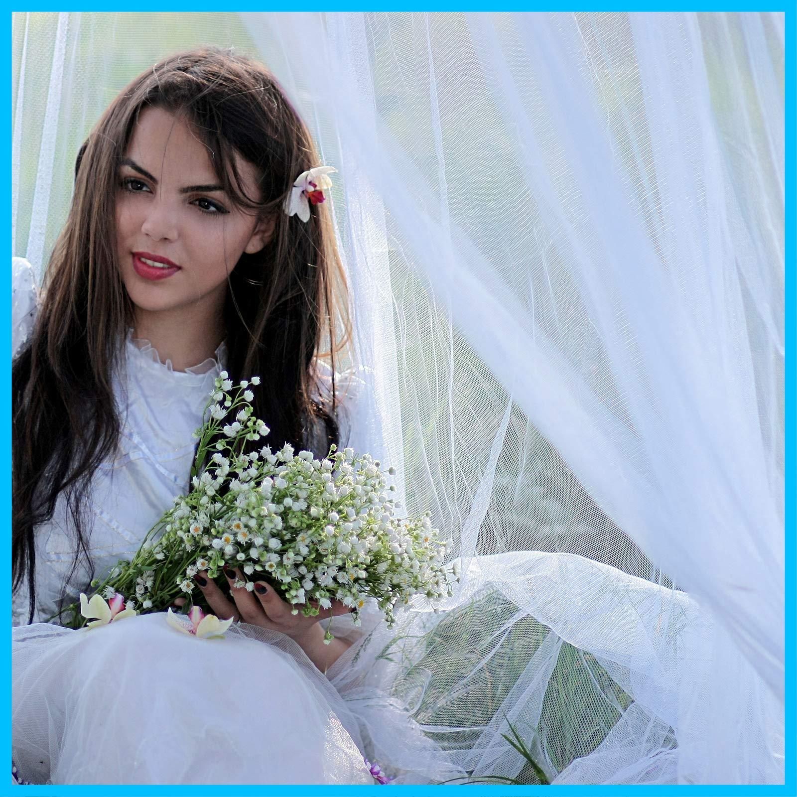 数量 かや モスキートネット 円形 防虫 蚊帳 防蚊 天蓋カーテン ホワイト1.8ｍ以下ベッド適用 GWHOLE 洗濯