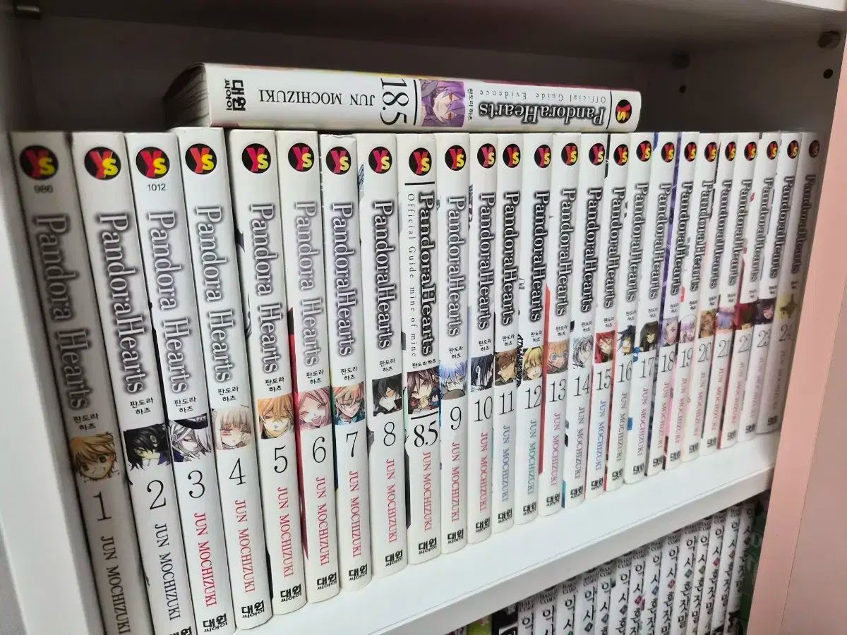 パンドラハーツ 全24巻 + 8.5巻、18.5巻、24+1巻 望月淳