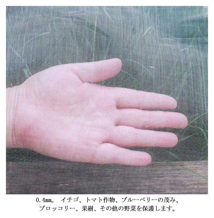 防虫ネット