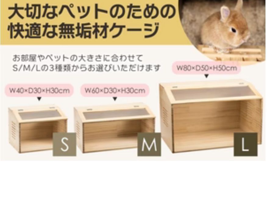 フェレット