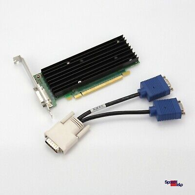 Profi グラフィックカルテ Nvidia Quadro Nvs 290 Dms-59 デュアルヘッド Vga 454319 456137-001