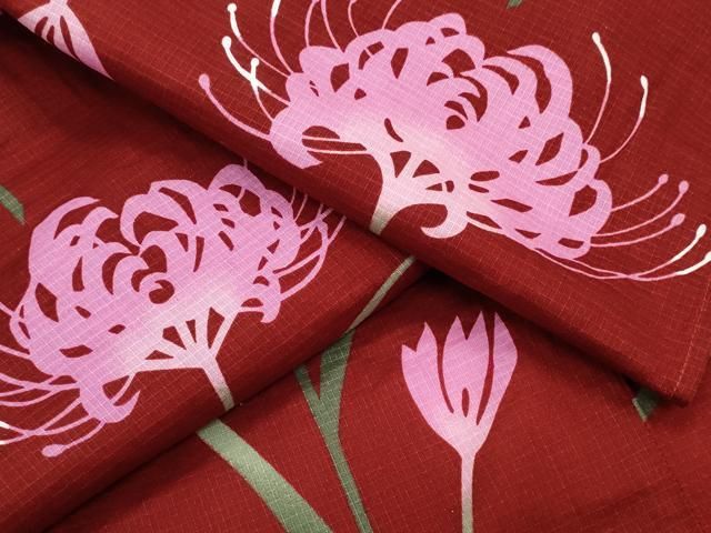 平和屋着物∴夏物 浴衣 綿紅梅 彼岸花 綿 CAAY4634ng