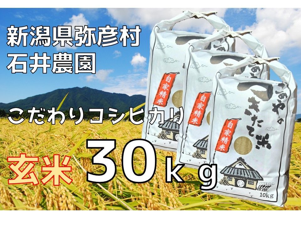 【新米・送料込み】新潟県弥彦村石井農園　令和6年（2024年）産コシヒカリ【玄米 30kg】