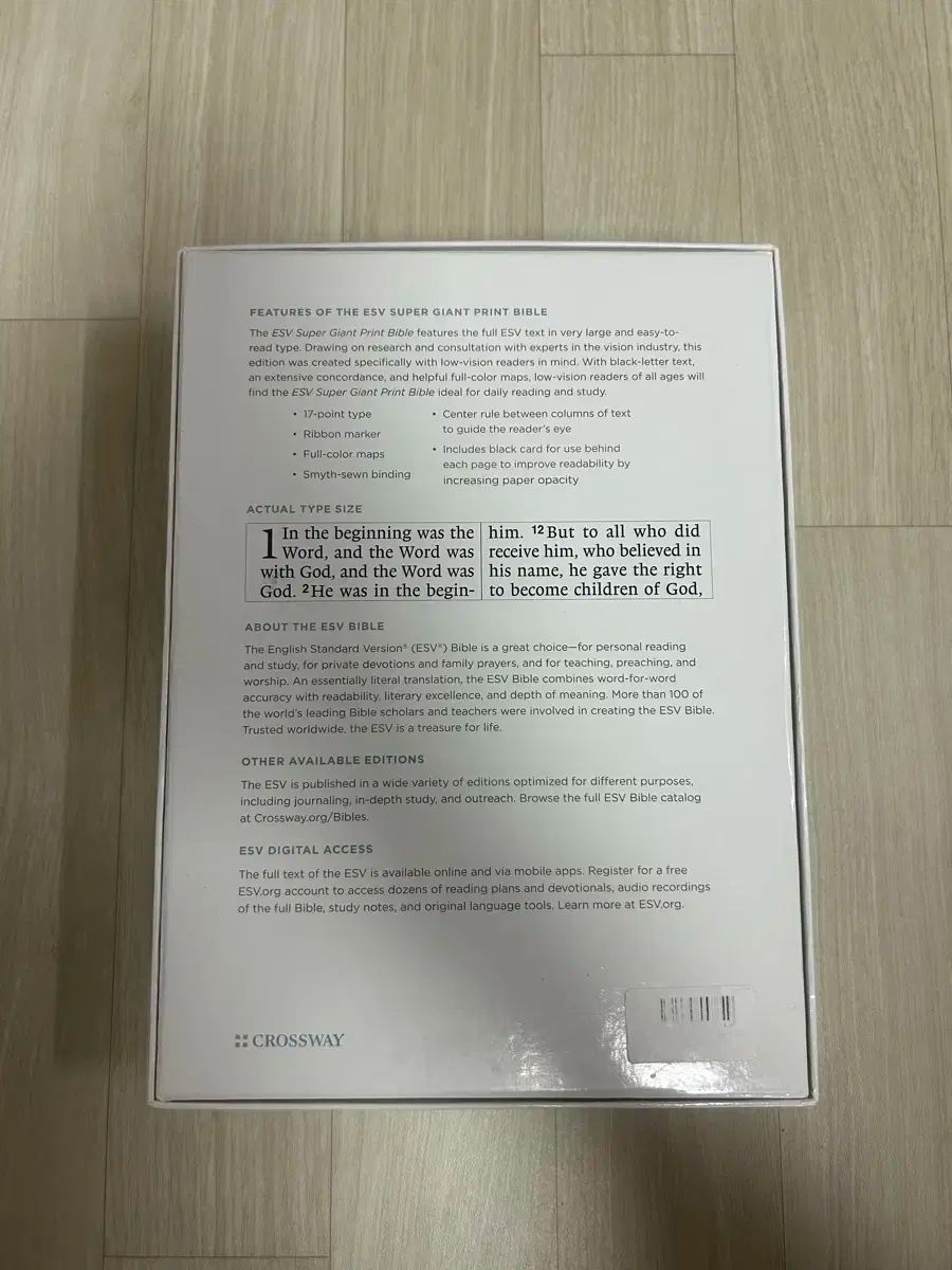英語聖書 ビッグレター