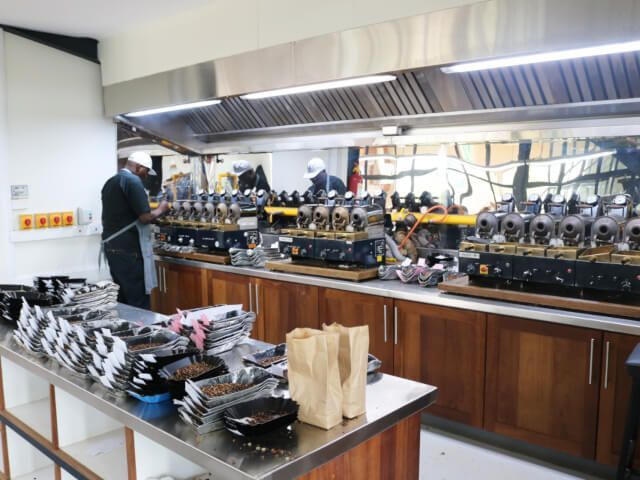 ケニア　ガトンボヤAA　生豆800g